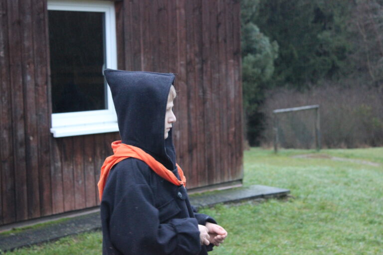 Meute Schwarzer Panther